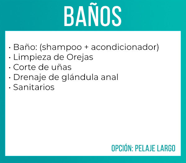 Baños (pequeño - pelaje largo)