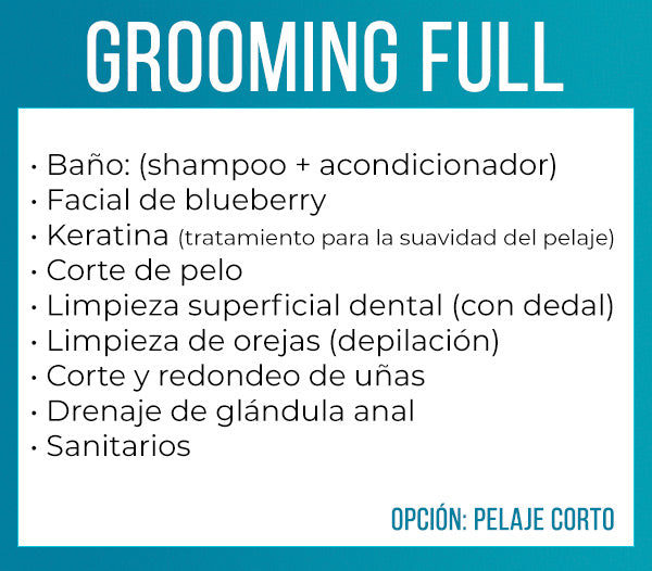 Grooming full (pequeño - pelaje corto)