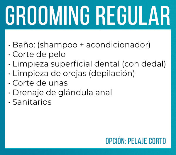 Grooming regular (extra pequeño - pelaje corto)