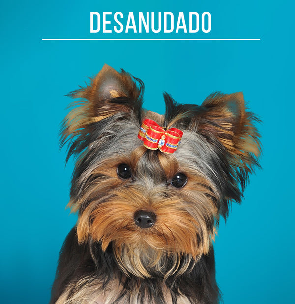 Desanudado