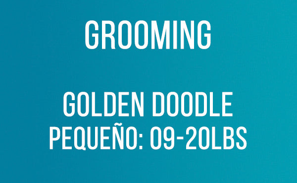 Grooming GoldenDoodle Pequeño